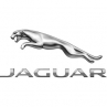 Jaguar Jaguar